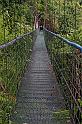 066 Tropical forest skyway, Costa Rica